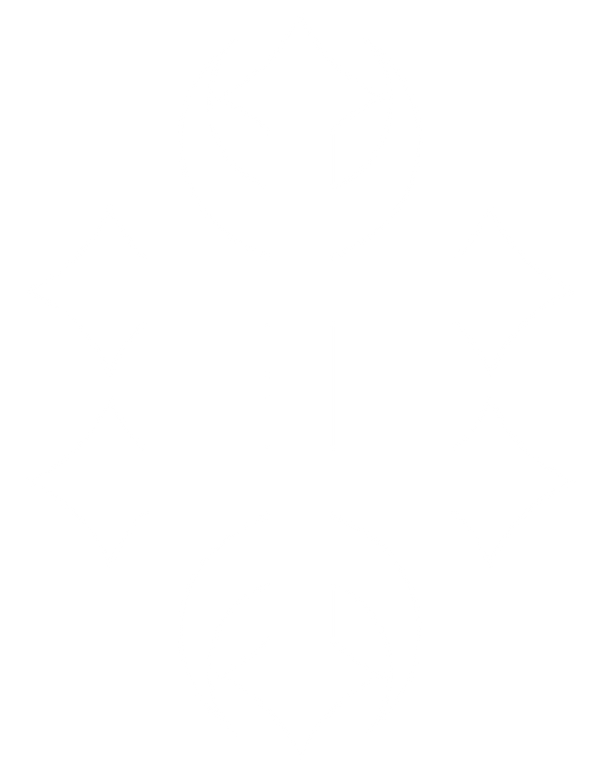 Coffin Crue
